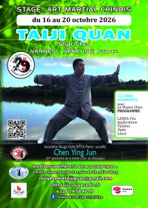 taiji style chen